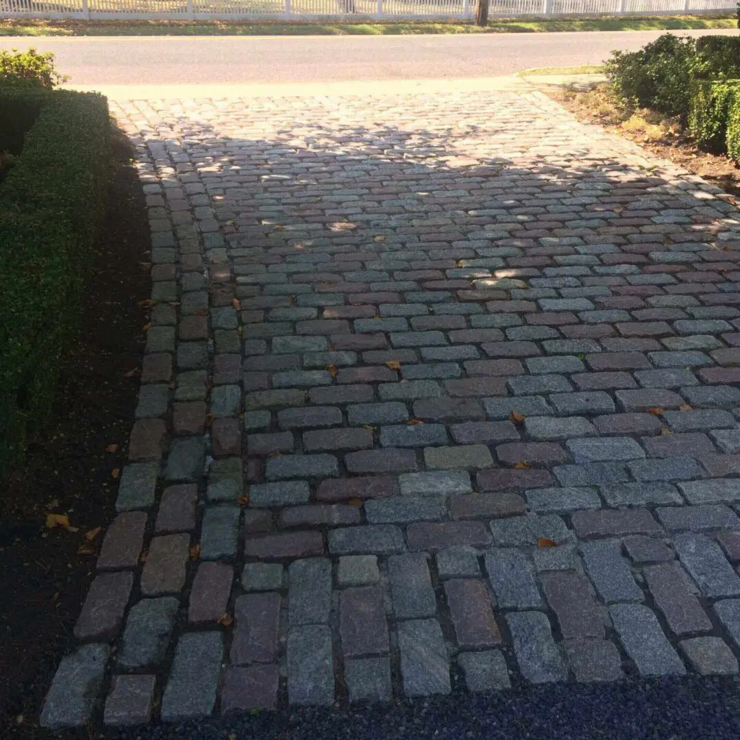 Sunlit cobblestone path bordered by greenery and shadows.