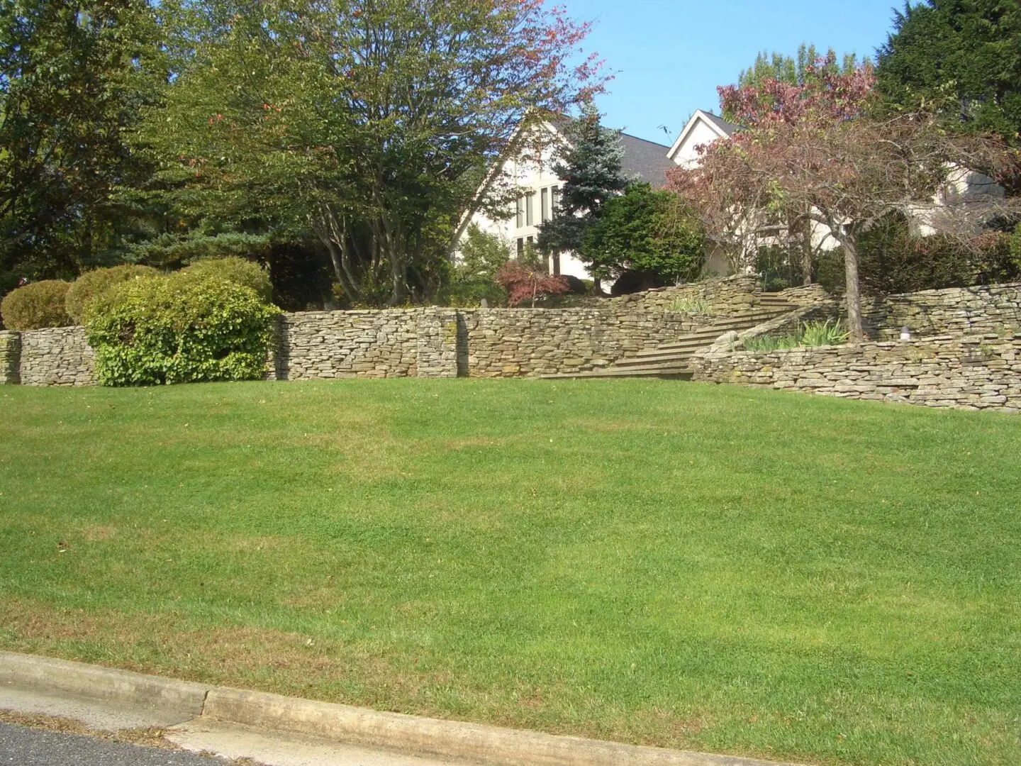 A grassy lawn with a stone wall and houses in the background.