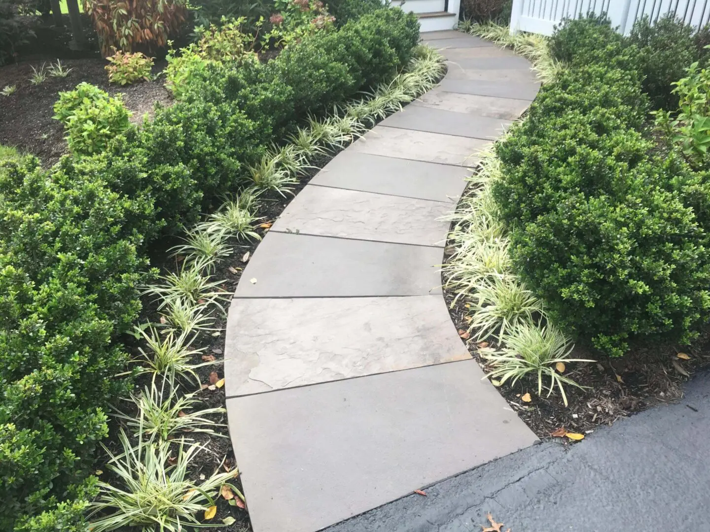Curved concrete pathway bordered by greenery and small plants.